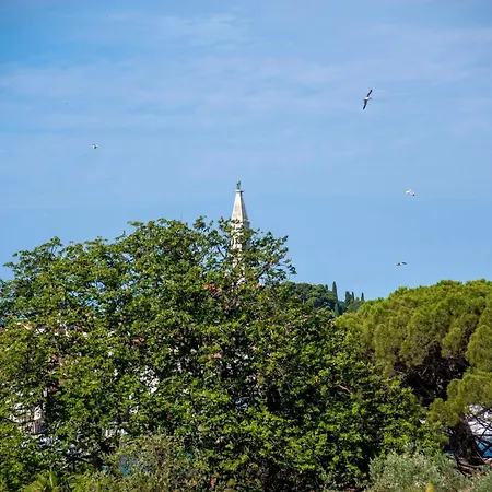 Luna Tsuki Two 3* 罗维尼