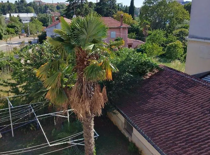 Luna Tsuki Two Ρόβινι